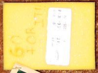 foam sample