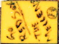 tempurpedic sample